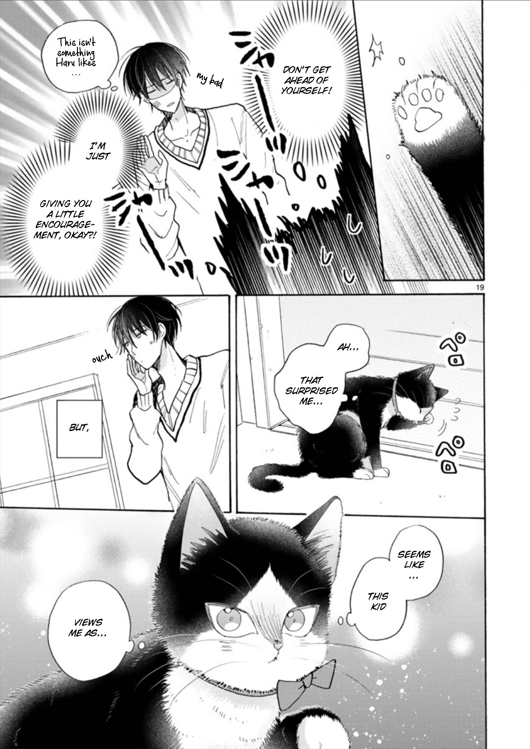 Page 19 of Chapter 18.2