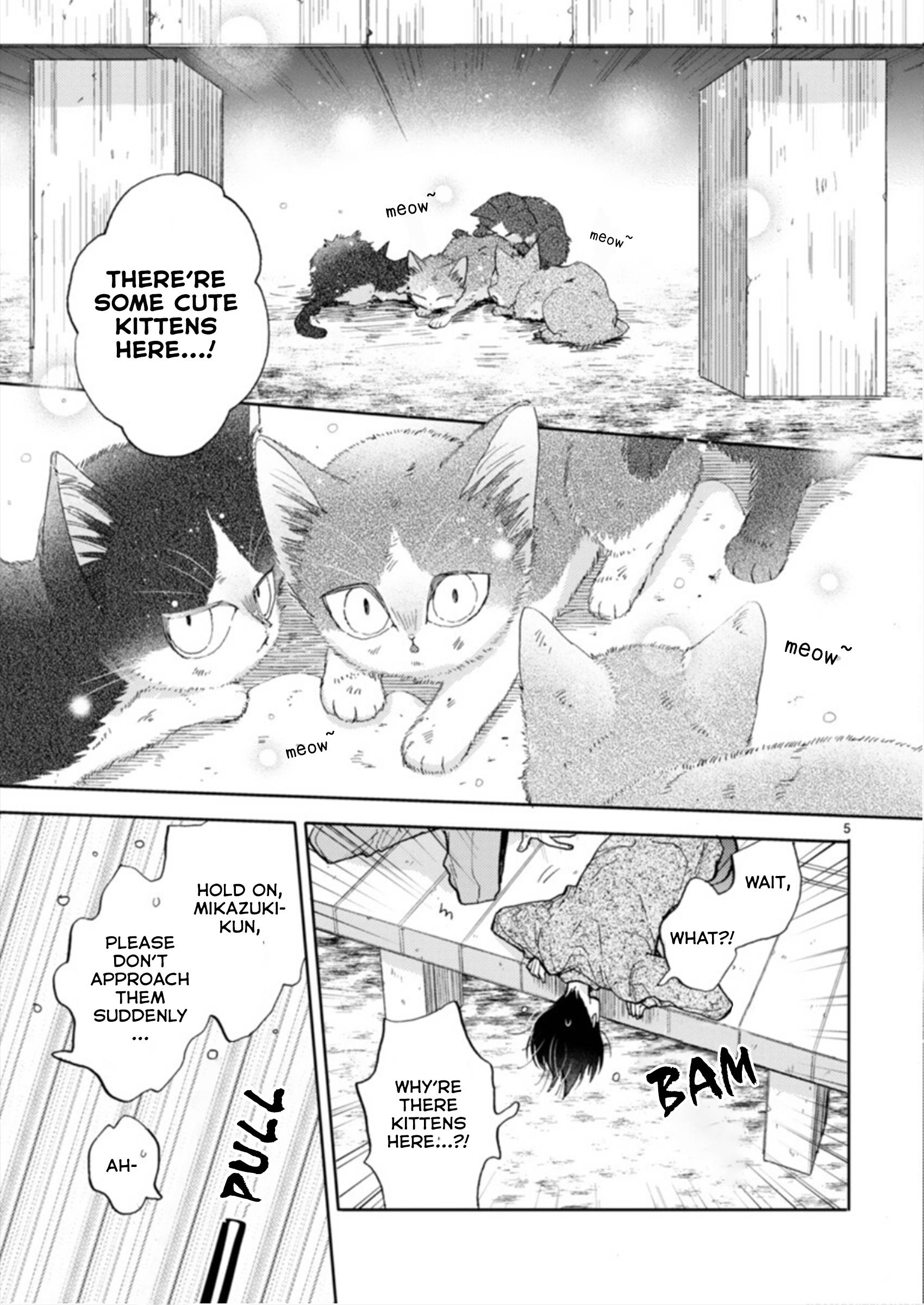 Page 5 of Chapter 19.1