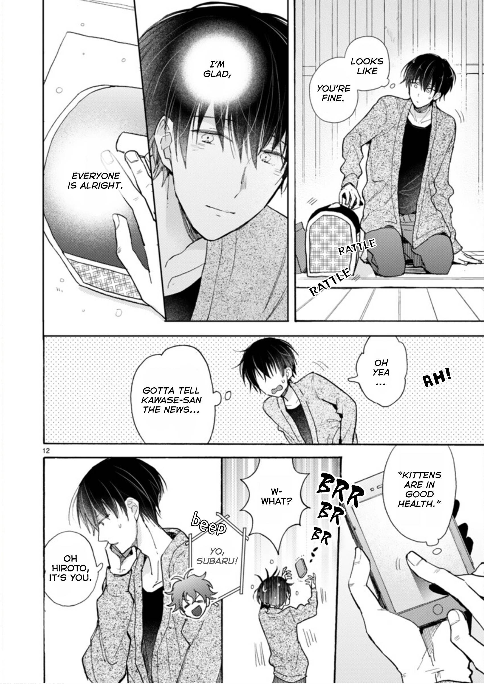 Page 12 of Chapter 19.1