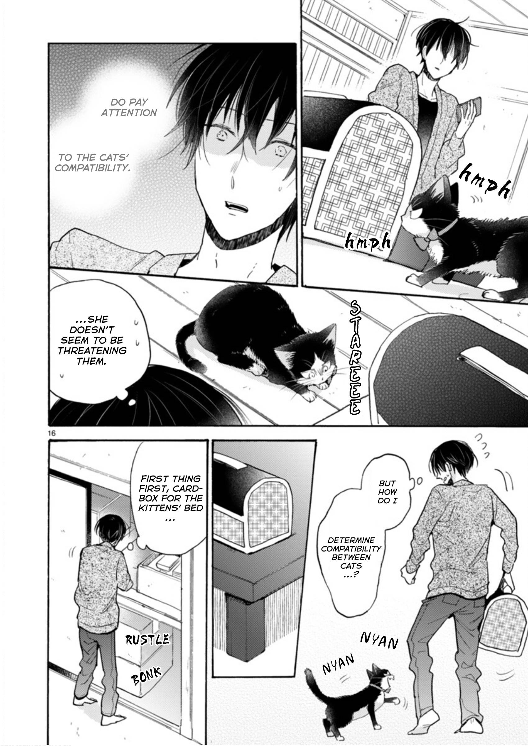 Page 16 of Chapter 19.1