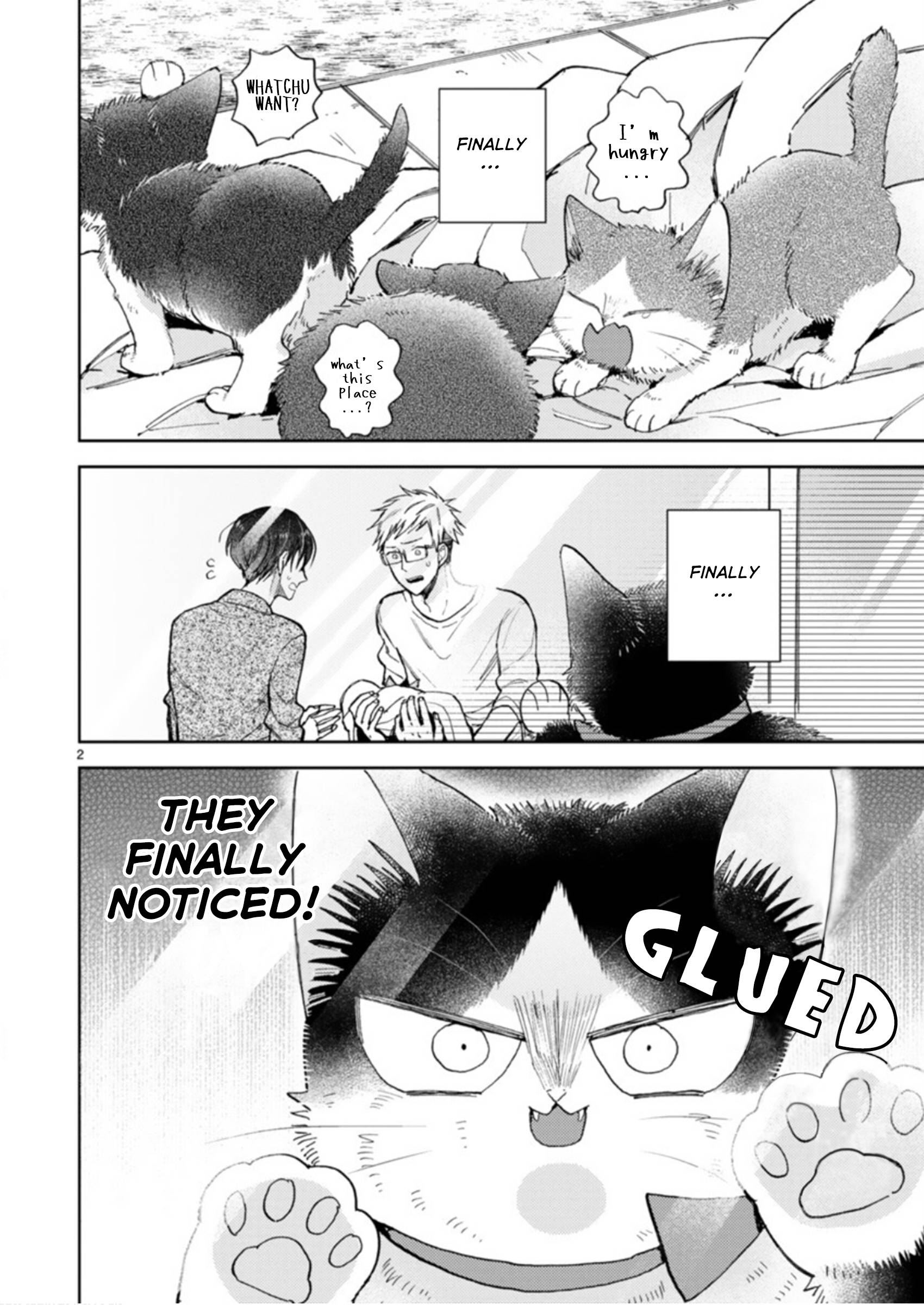 Page 2 of Chapter 19.3