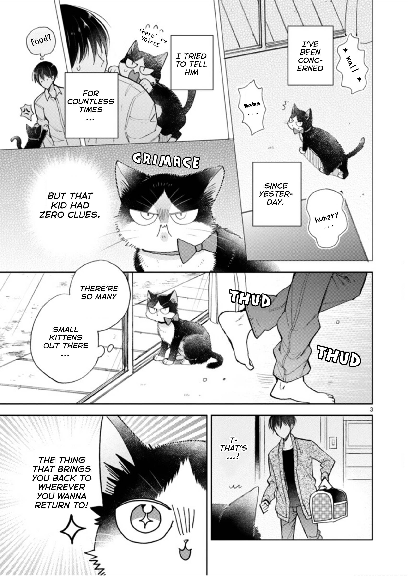 Page 3 of Chapter 19.3