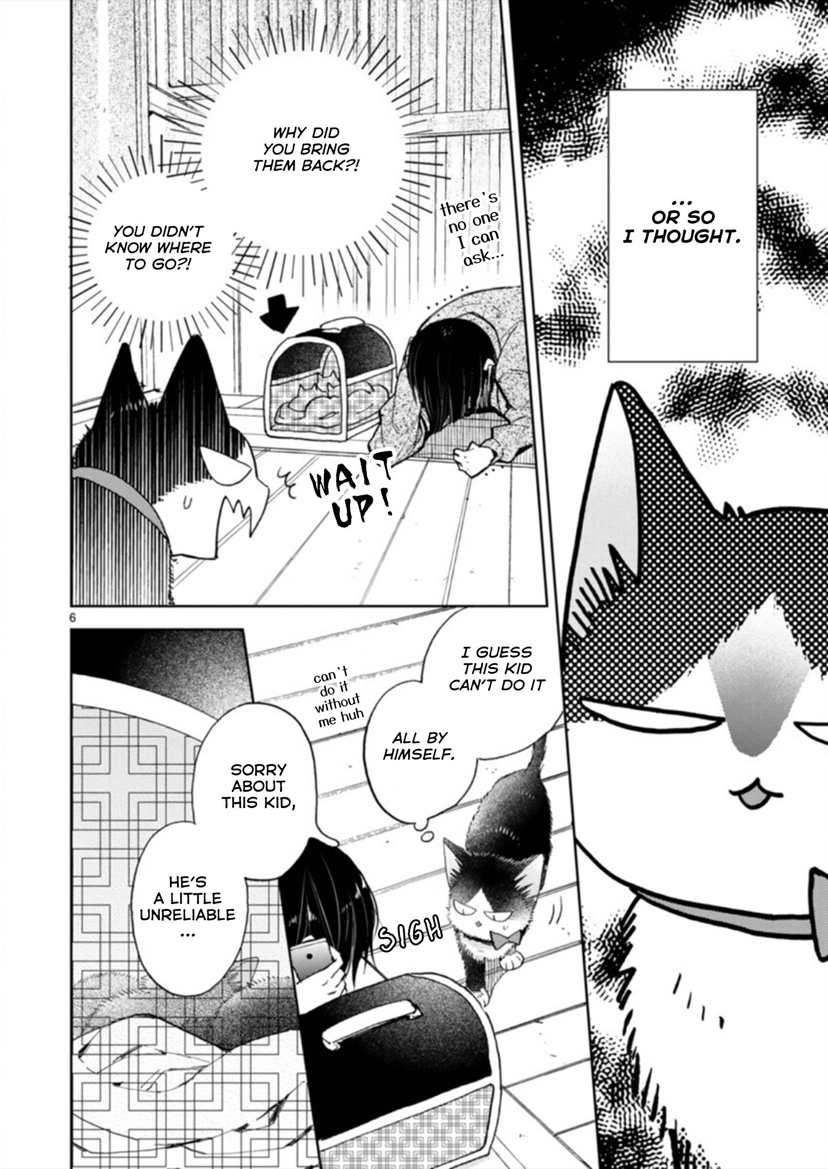 Page 6 of Chapter 19.3