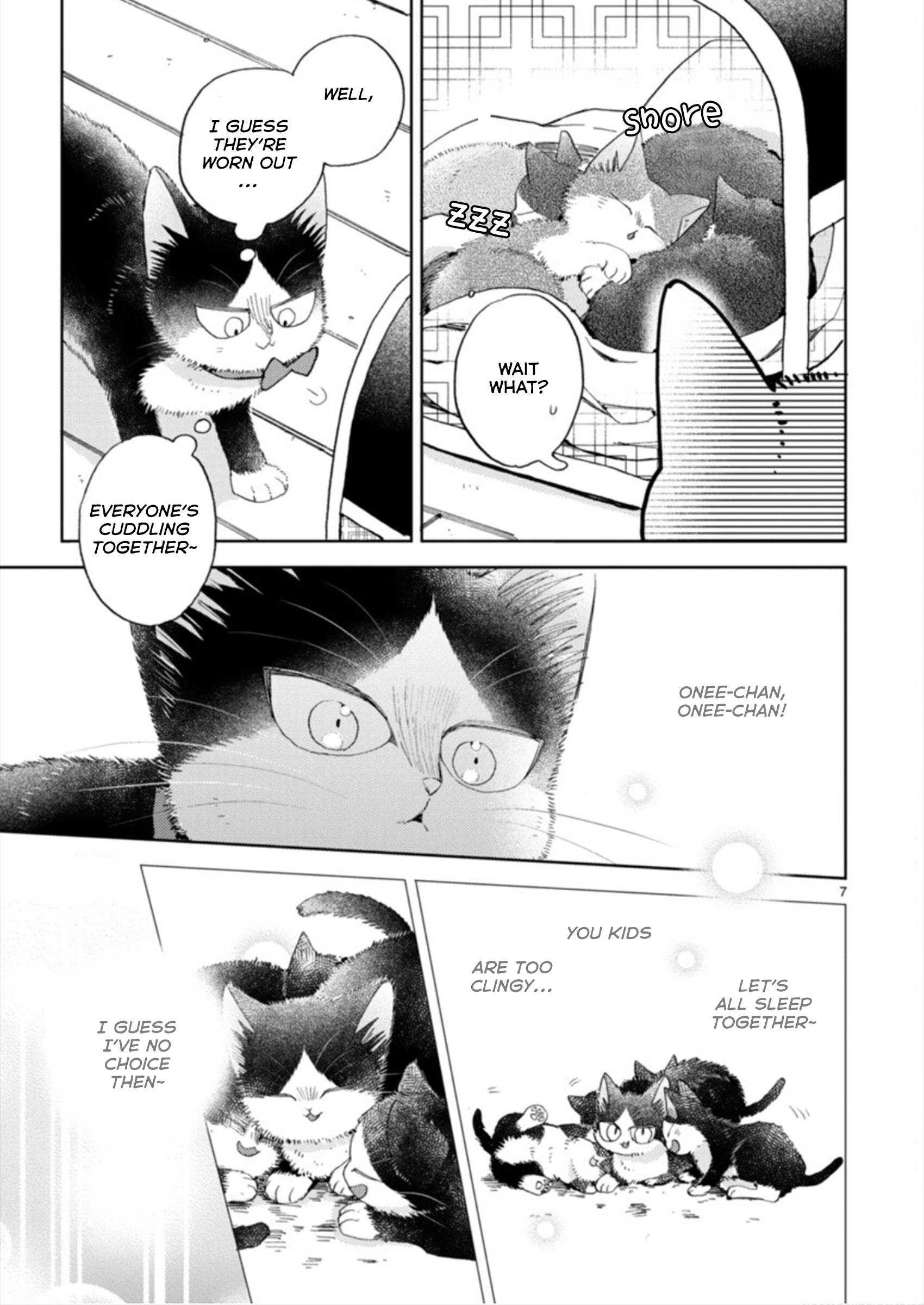 Page 7 of Chapter 19.3
