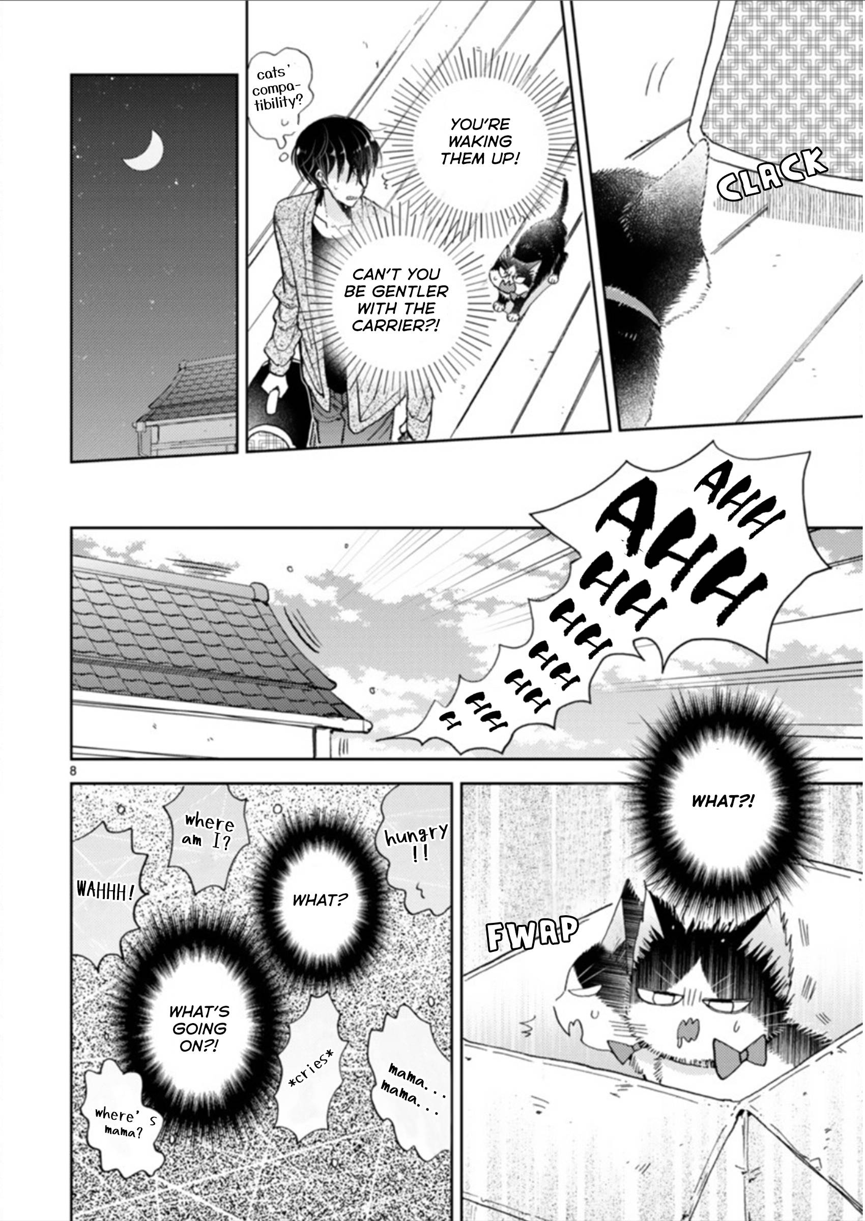 Page 8 of Chapter 19.3