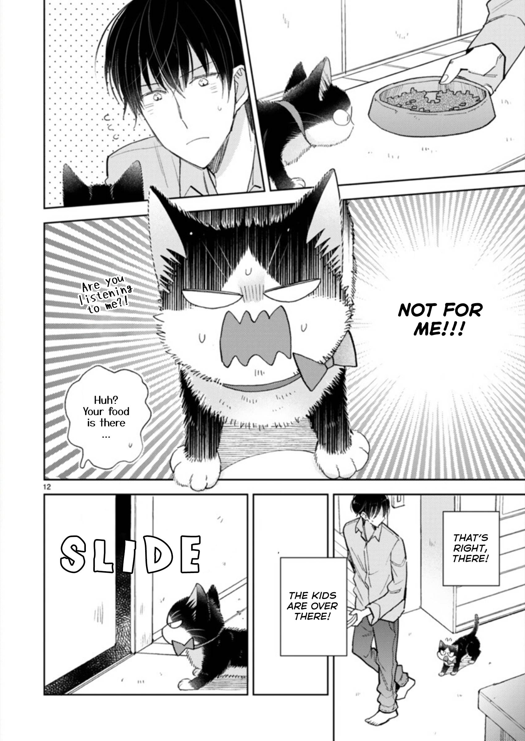 Page 12 of Chapter 19.3