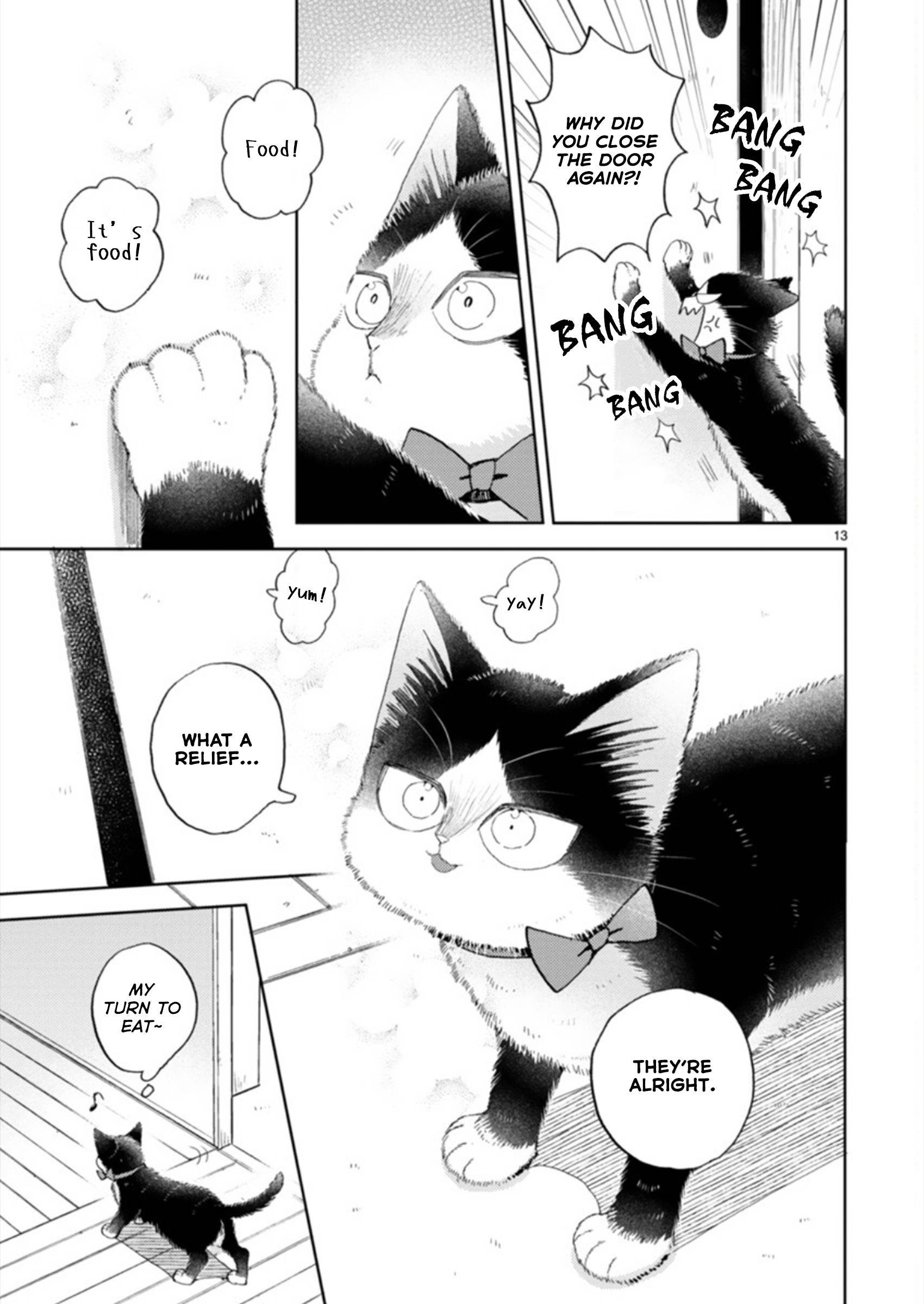 Page 13 of Chapter 19.3