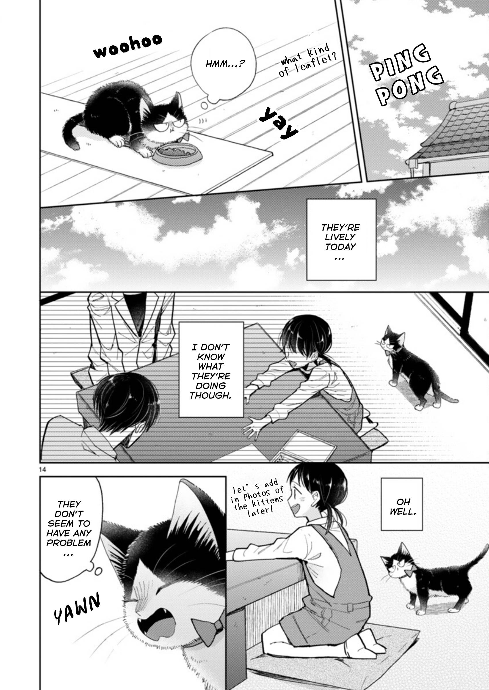 Page 14 of Chapter 19.3