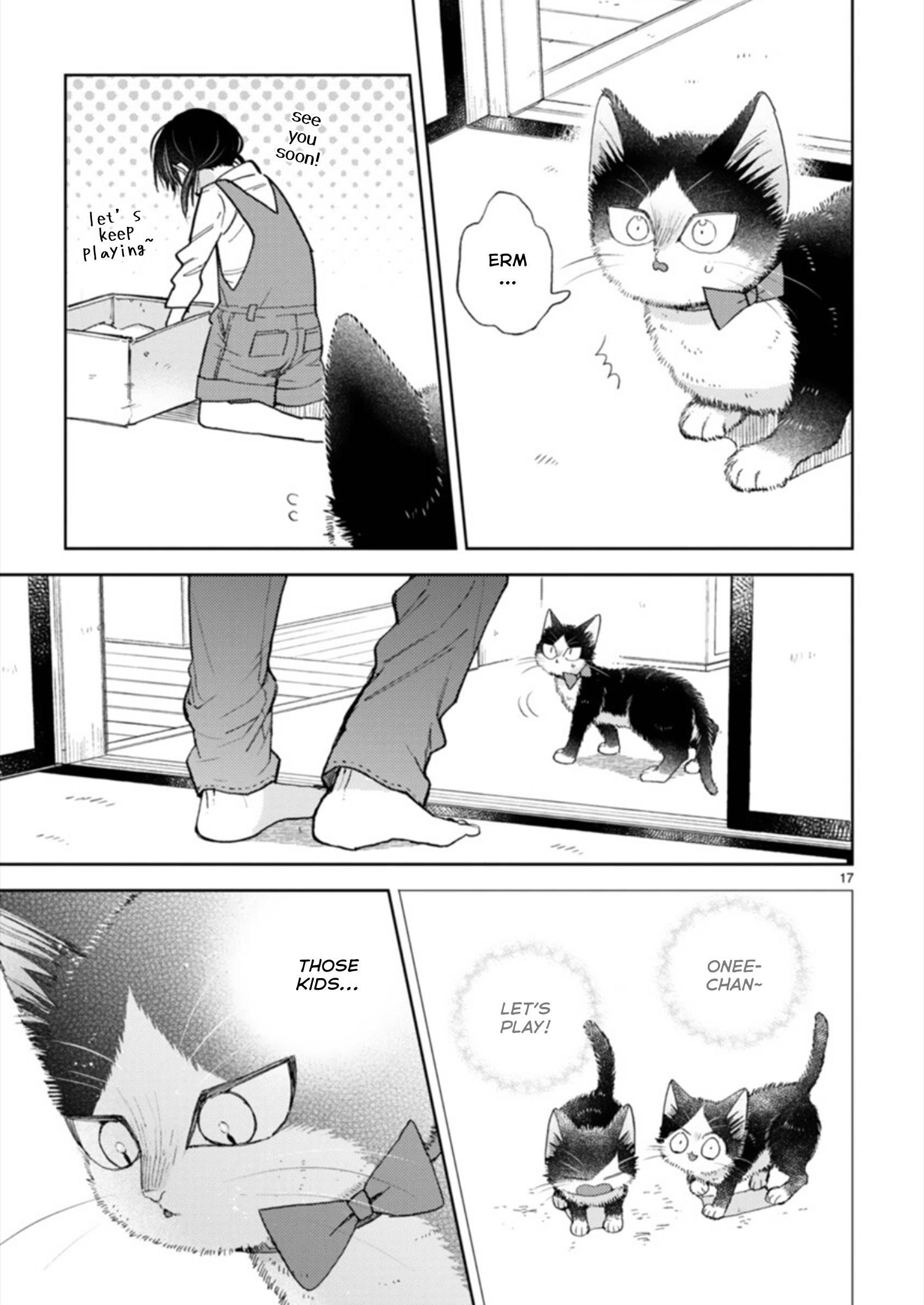 Page 17 of Chapter 19.3