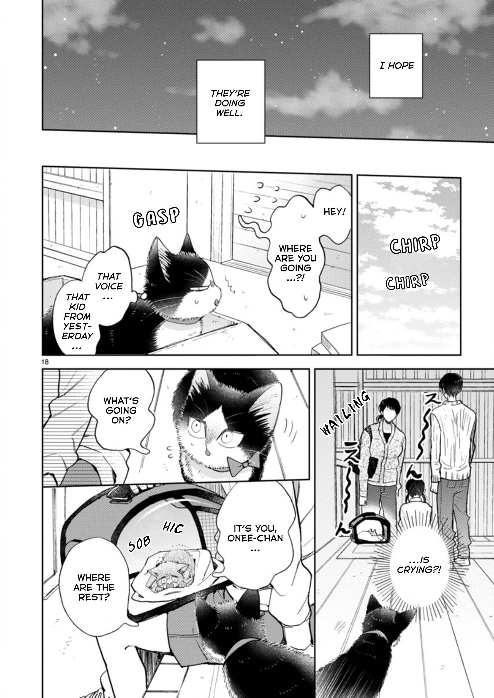 Page 18 of Chapter 19.3
