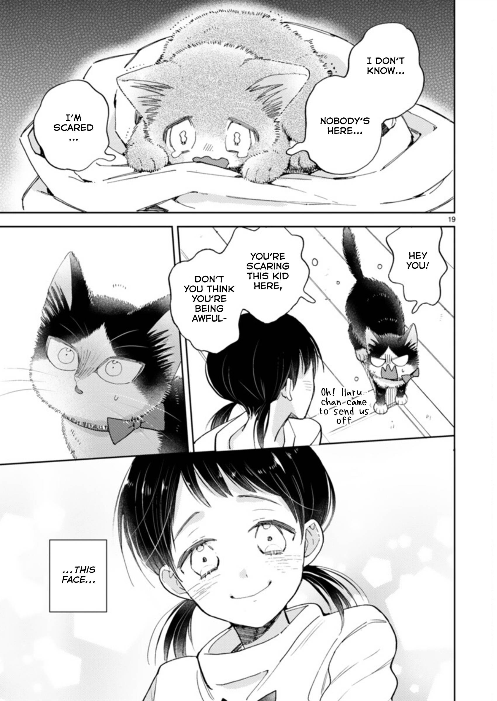 Page 19 of Chapter 19.3