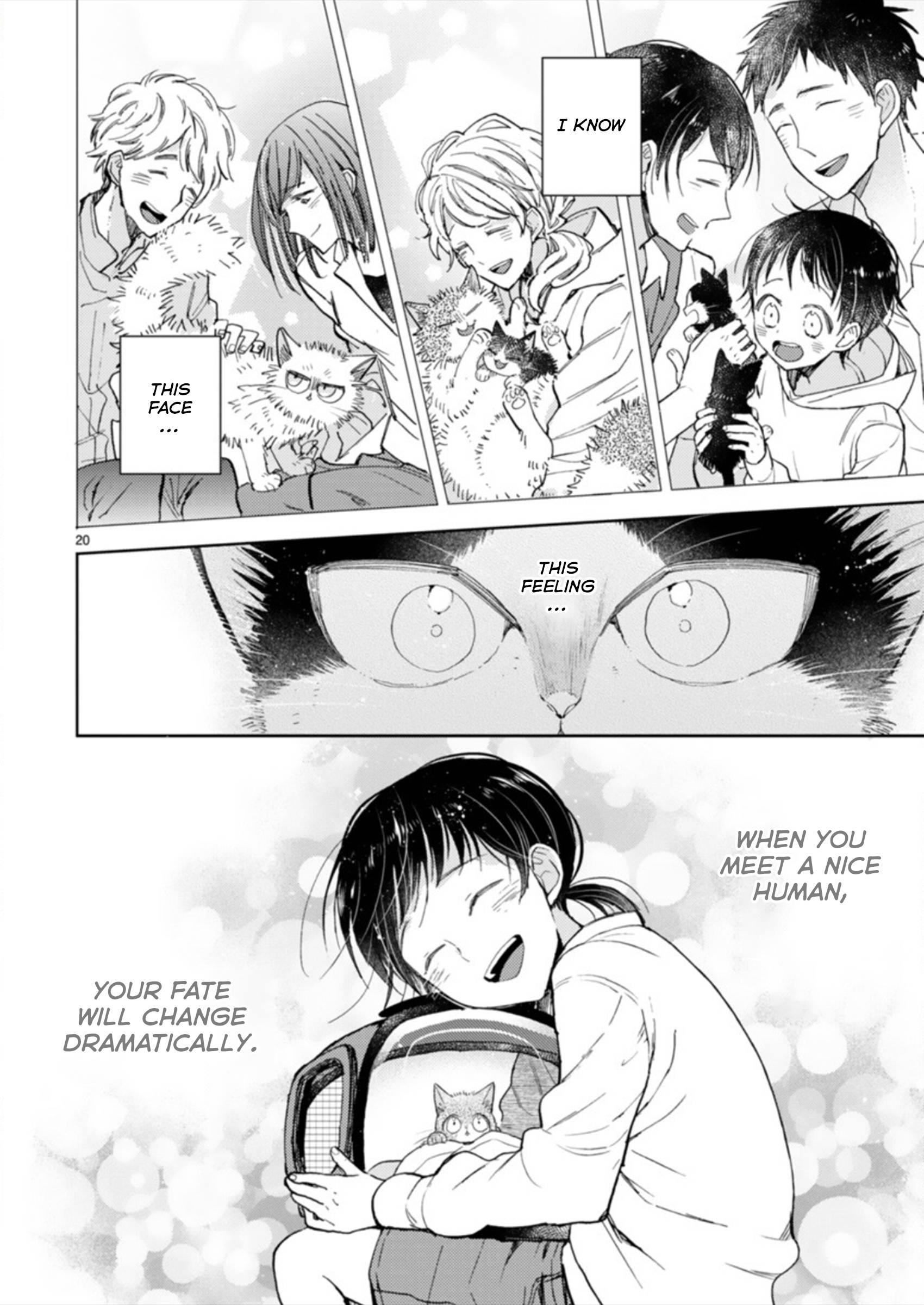 Page 20 of Chapter 19.3