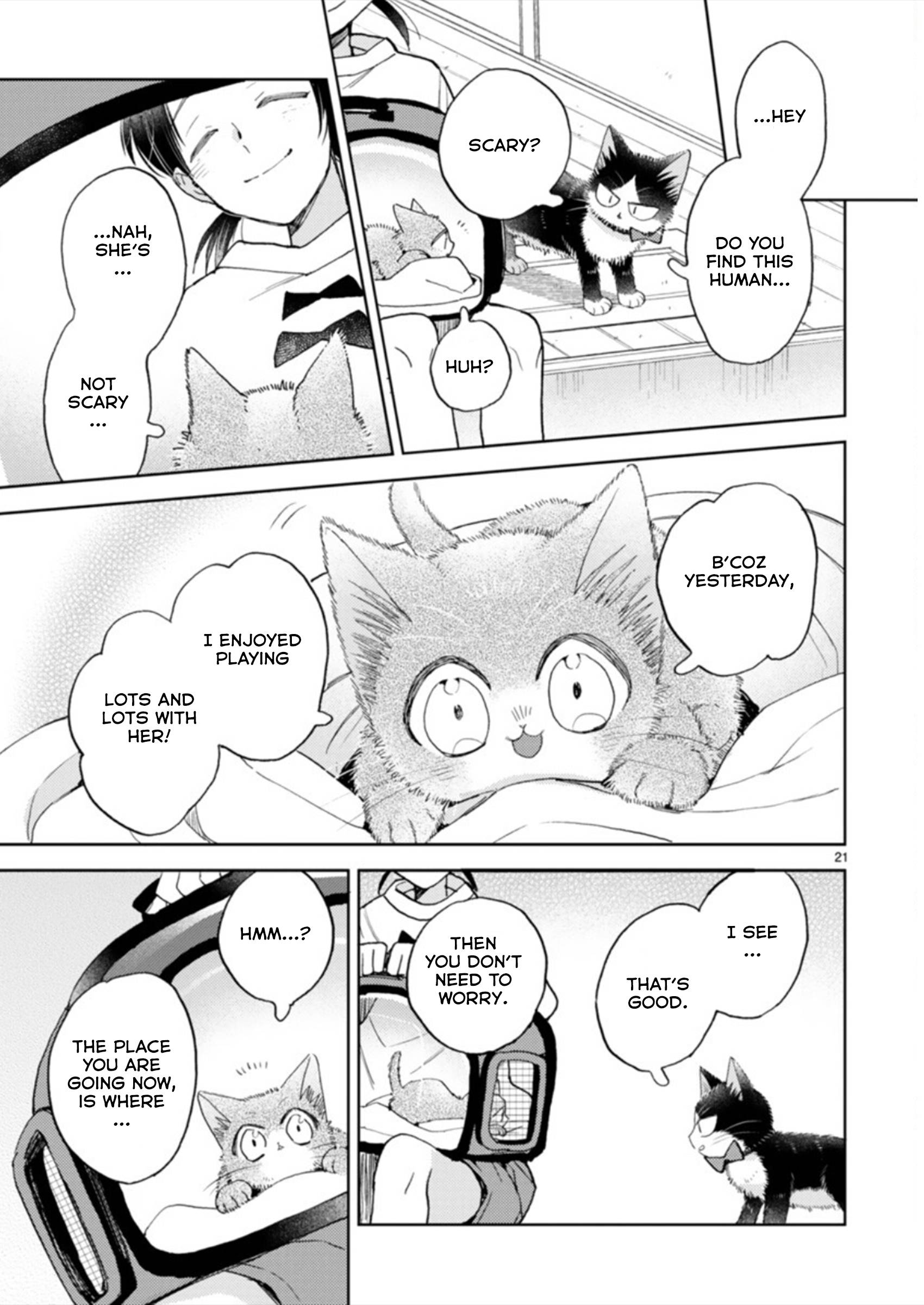 Page 21 of Chapter 19.3