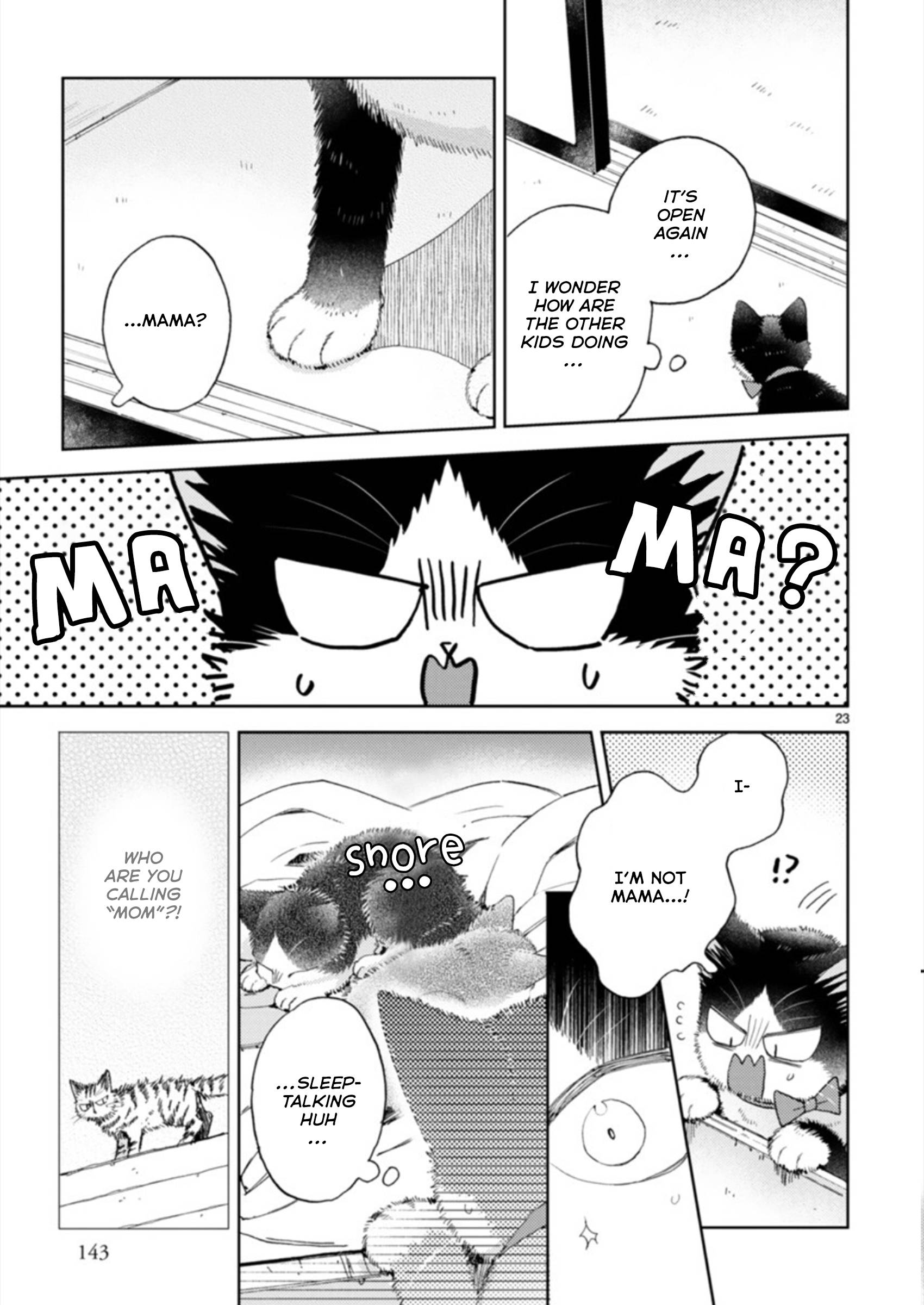 Page 23 of Chapter 19.3