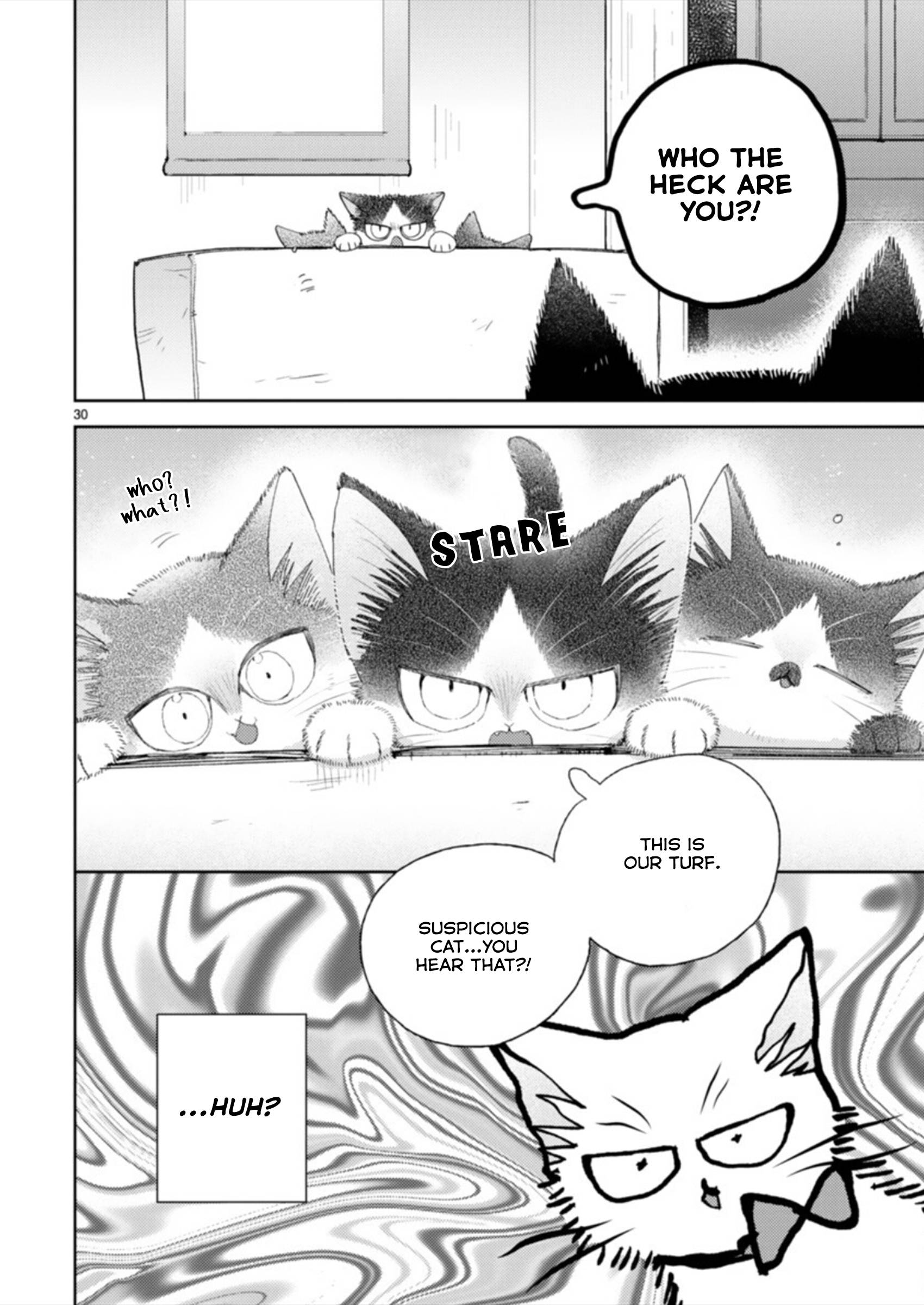 Page 30 of Chapter 19.3