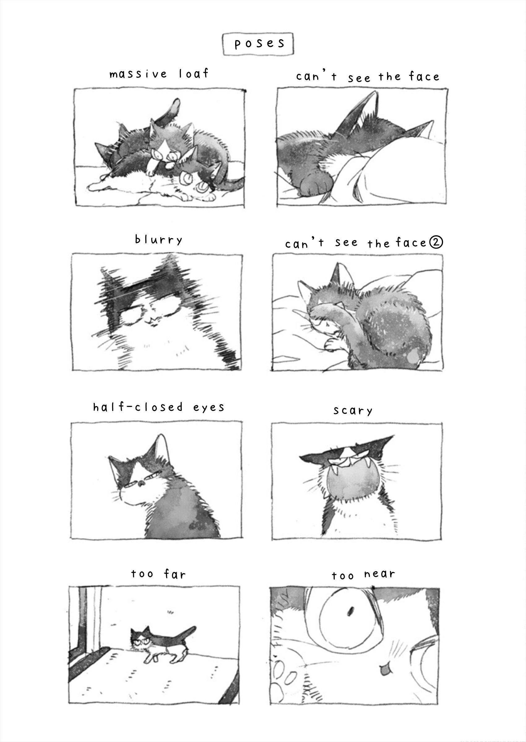 Page 23 of Chapter 19.2