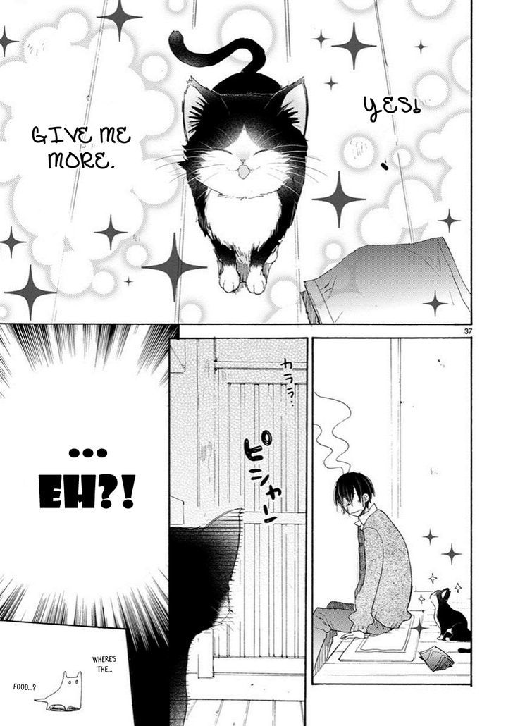 Page 11 of Chapter 2.5