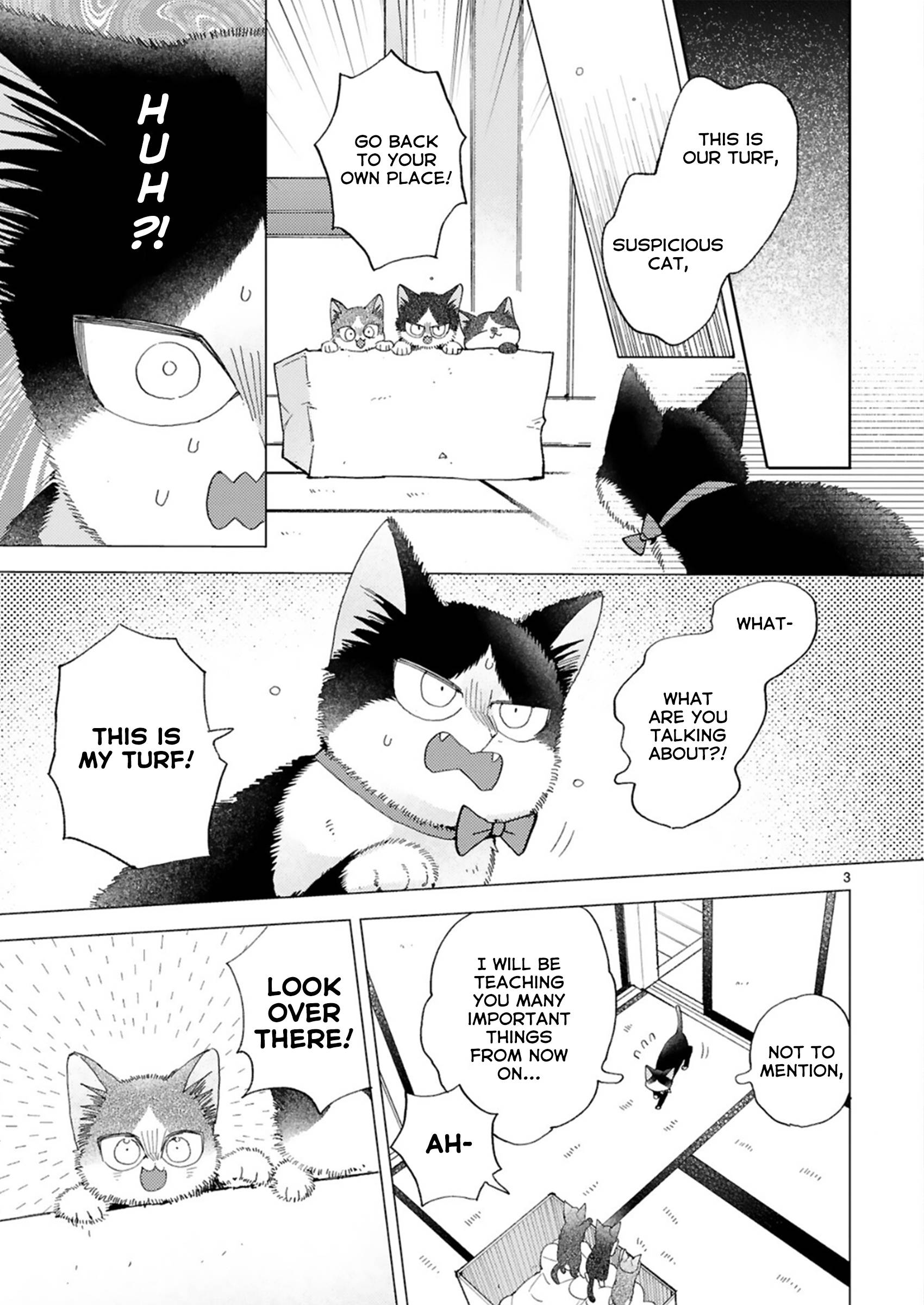 Page 3 of Chapter 20.2