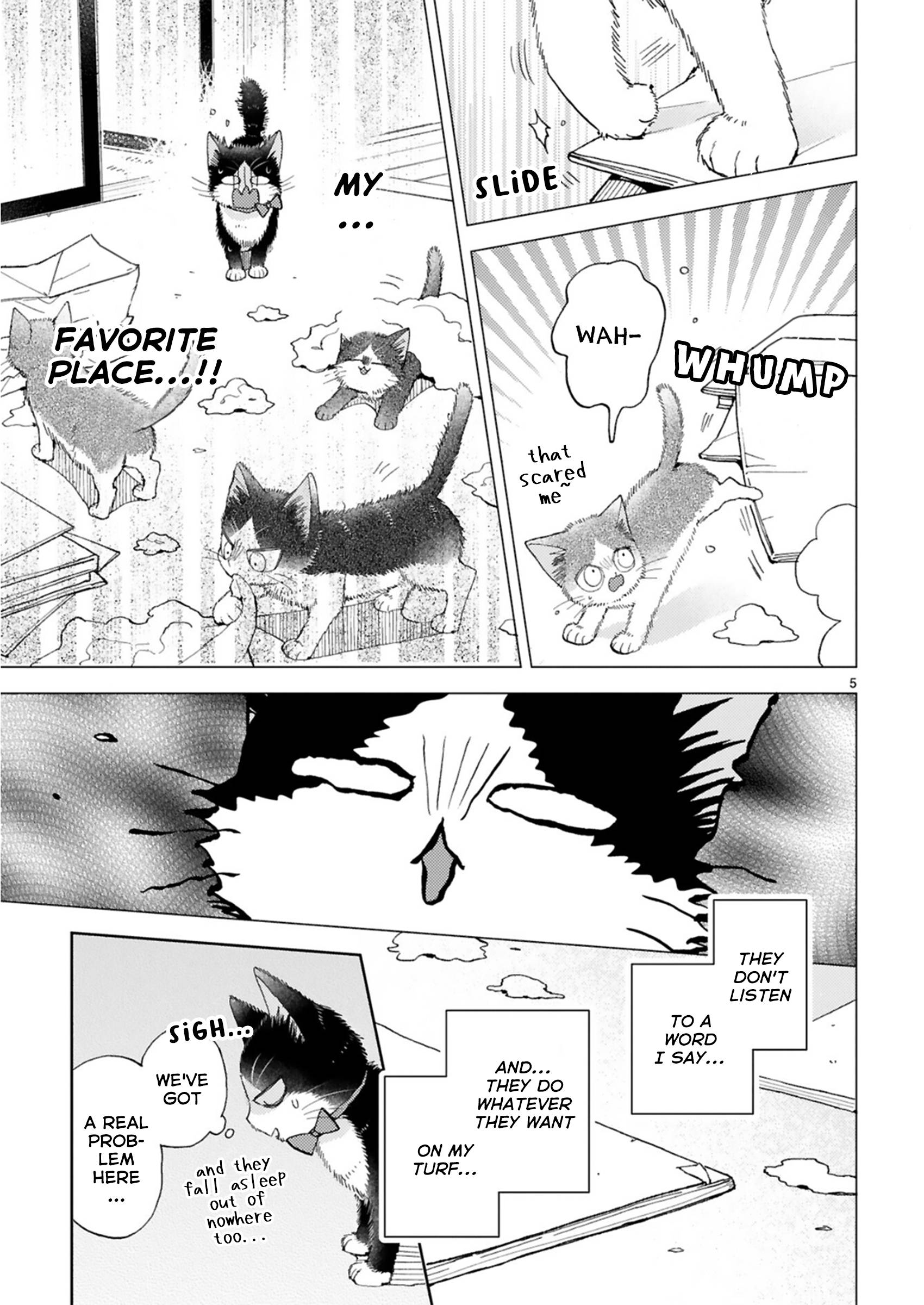 Page 5 of Chapter 20.2