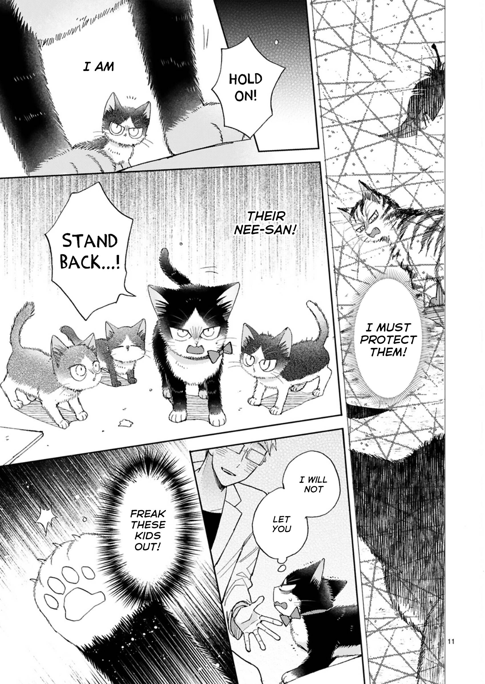 Page 11 of Chapter 20.2