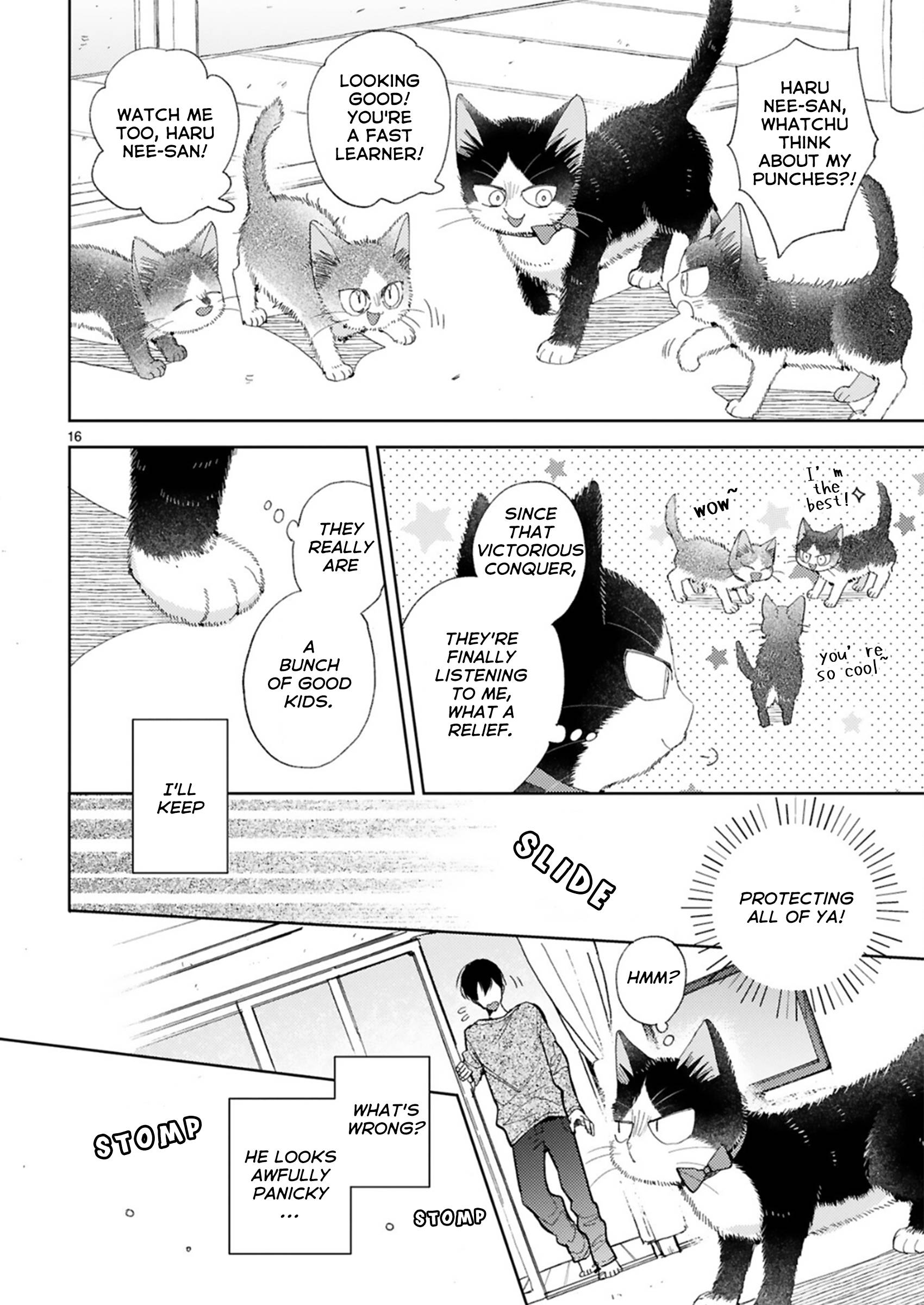 Page 16 of Chapter 20.2