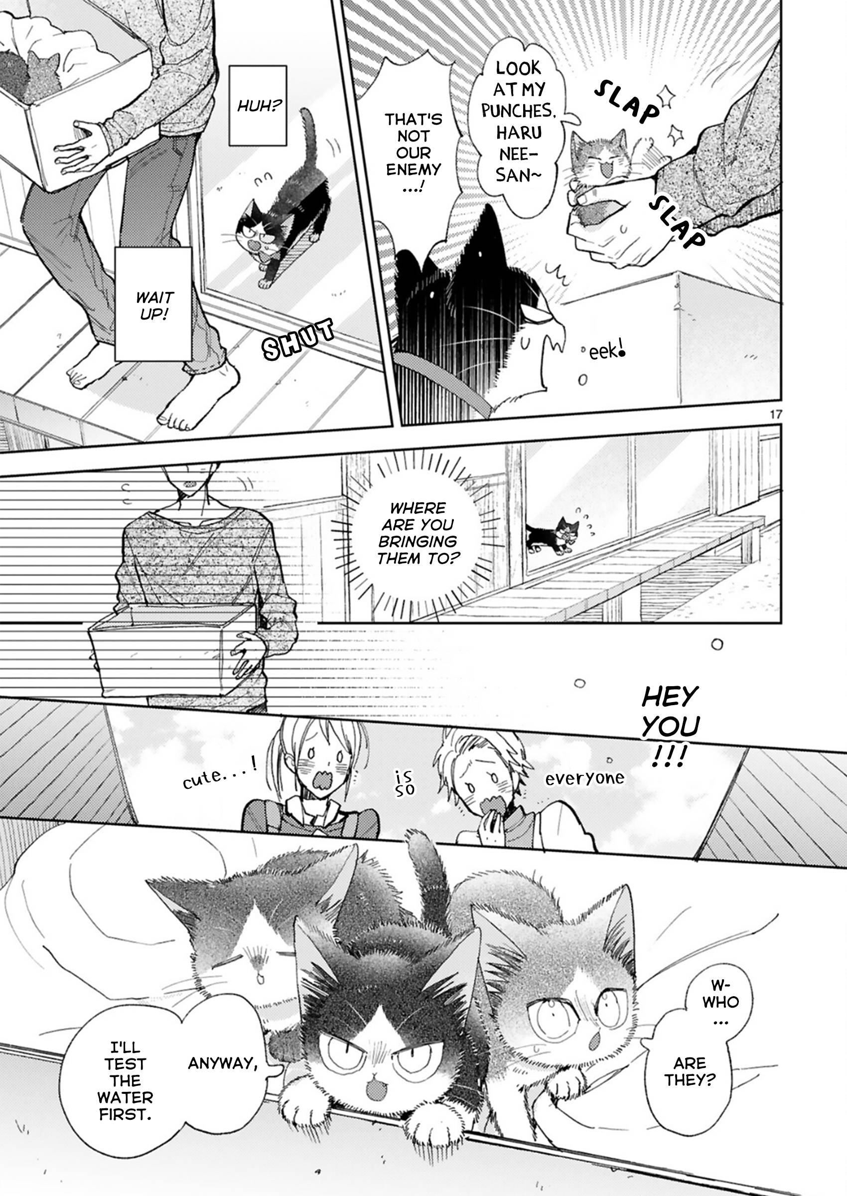 Page 17 of Chapter 20.2