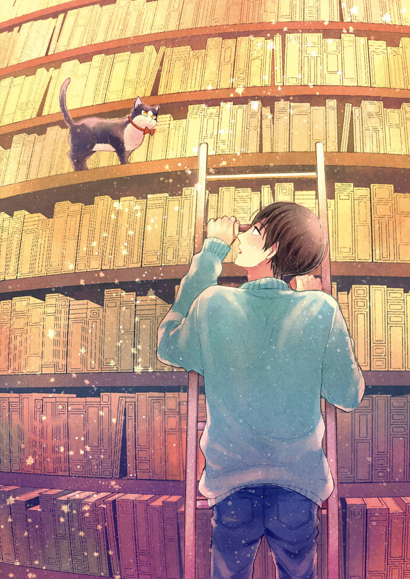 Page 3 of Chapter 20.1