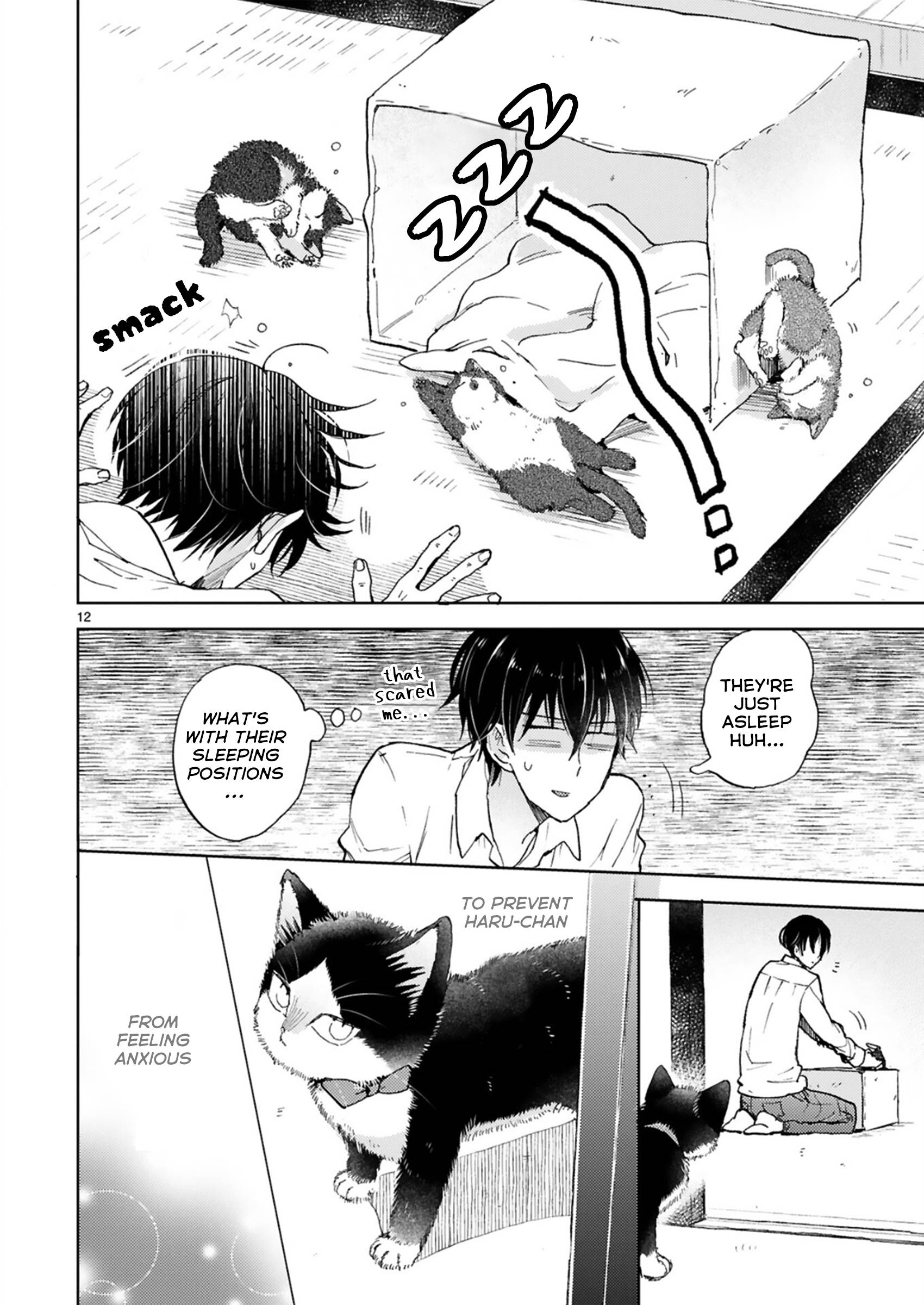 Page 17 of Chapter 20.1