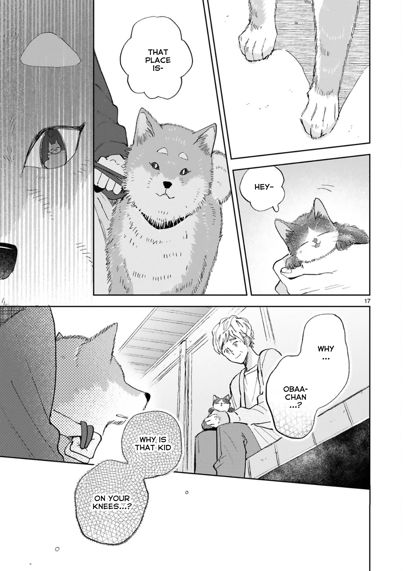 Page 17 of Chapter 21.3