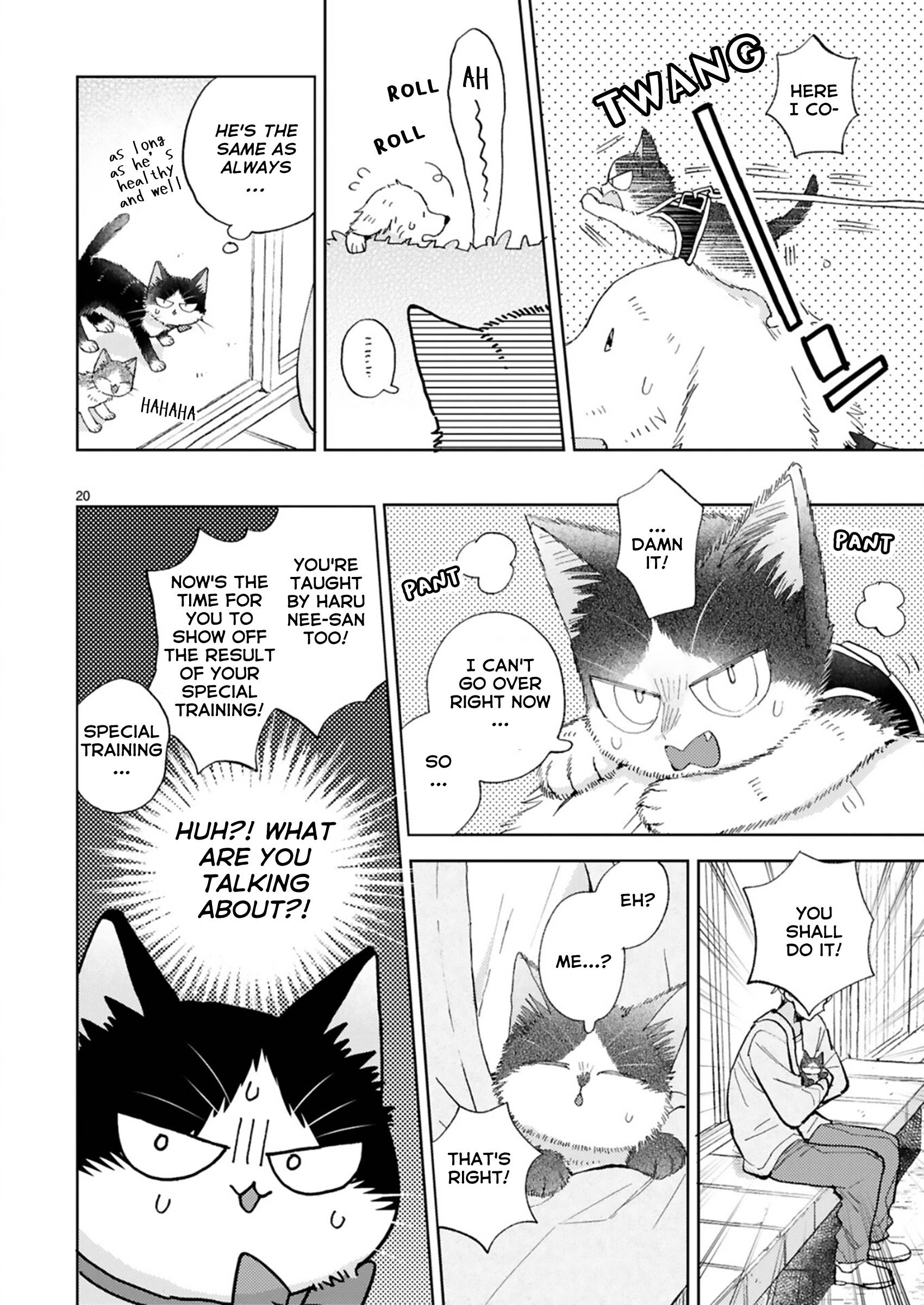 Page 20 of Chapter 21.3
