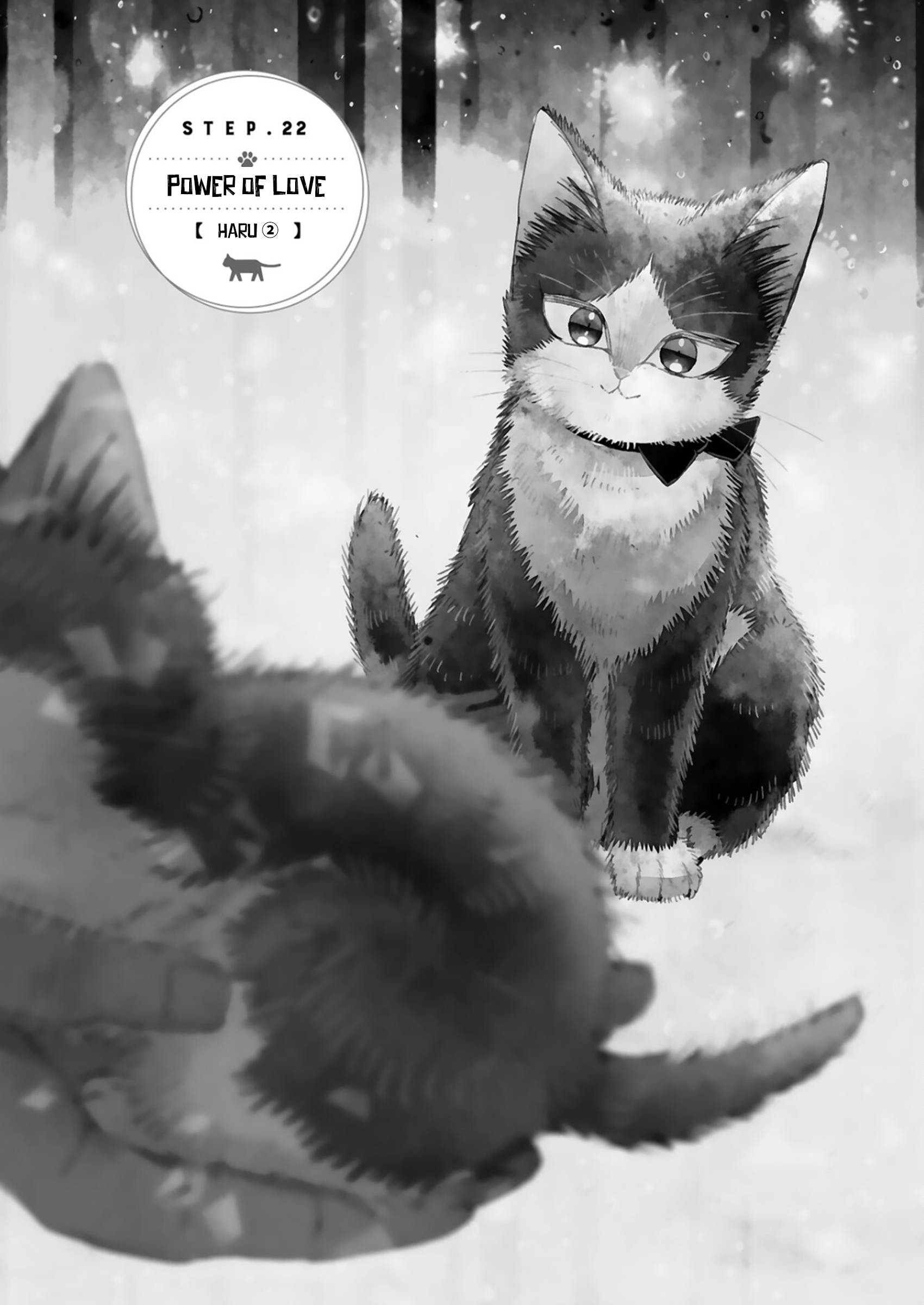 Page 1 of Chapter 22.4