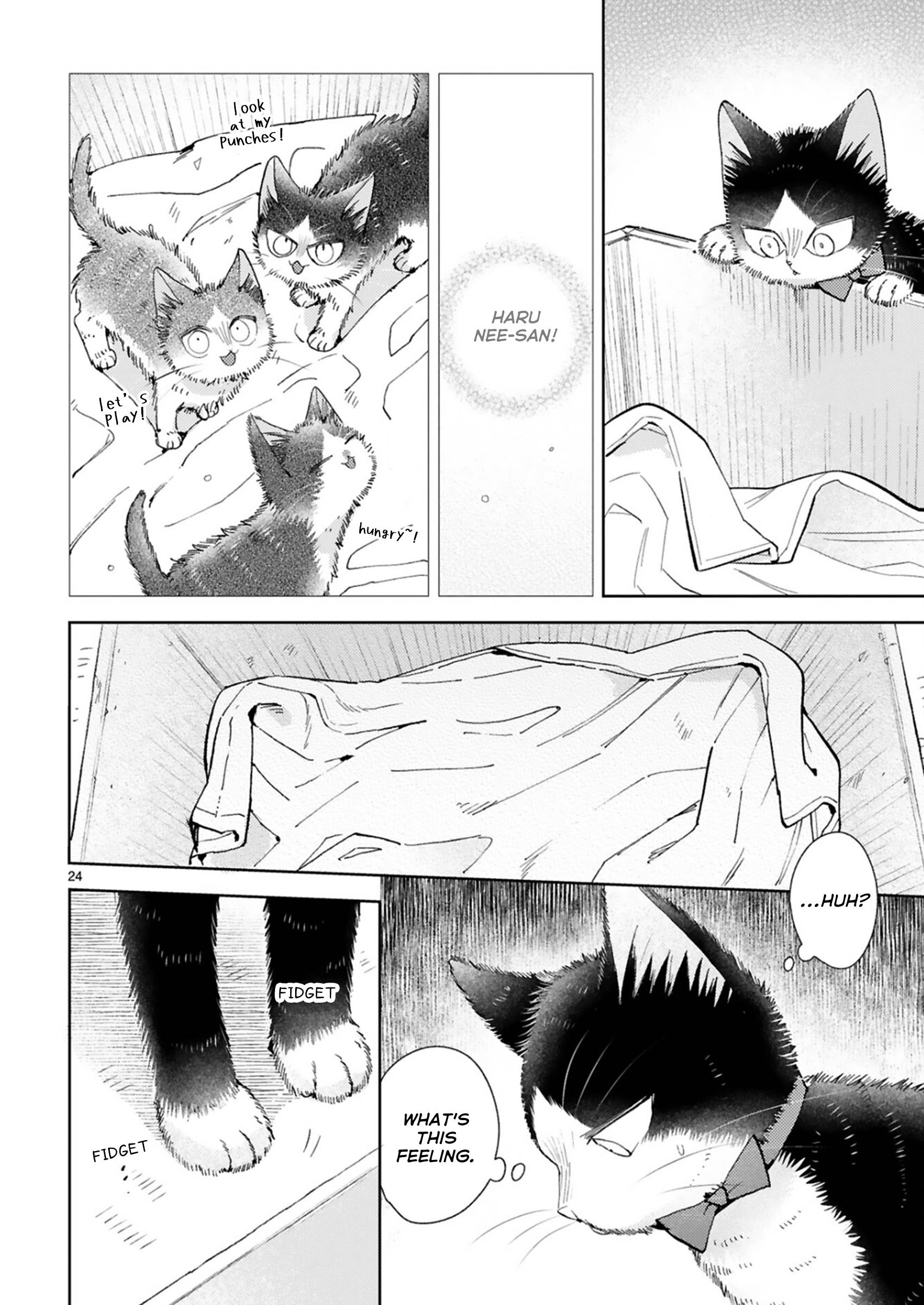 Page 13 of Chapter 22.4