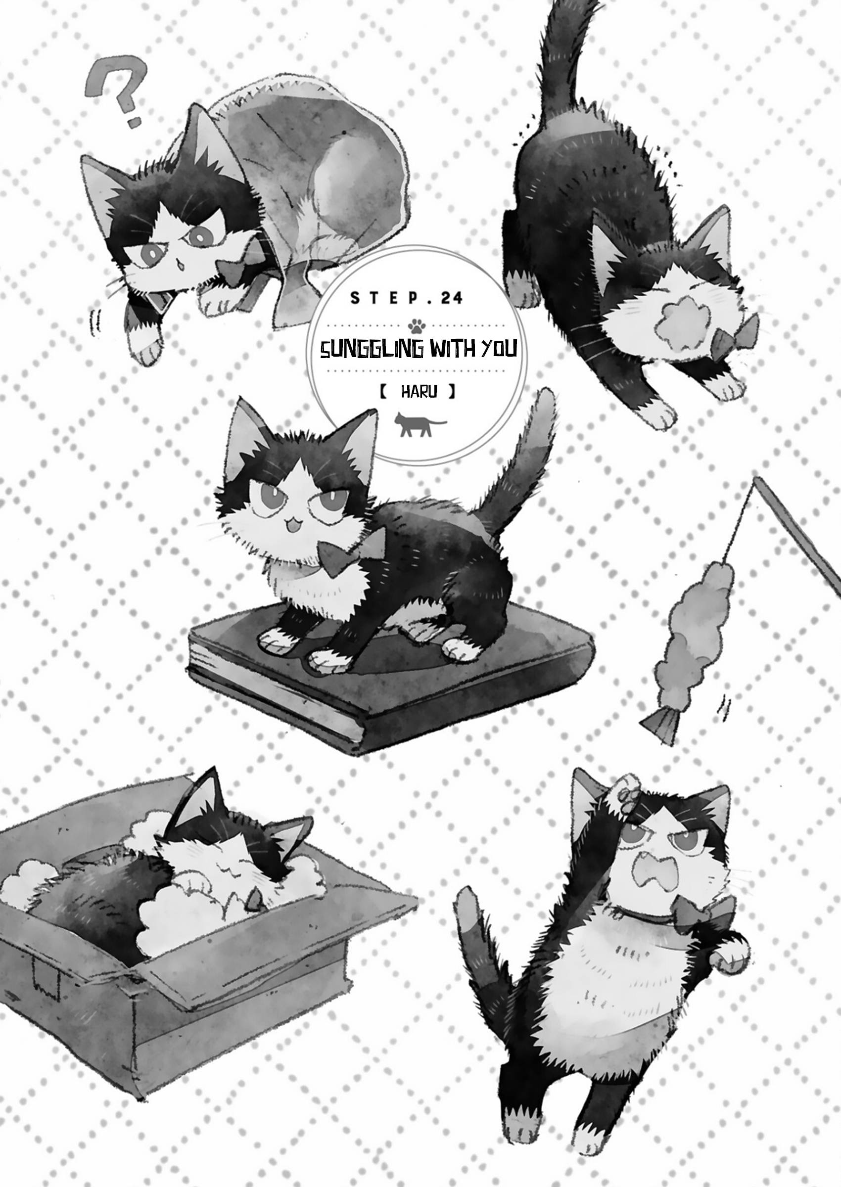 Page 1 of Chapter 24.2