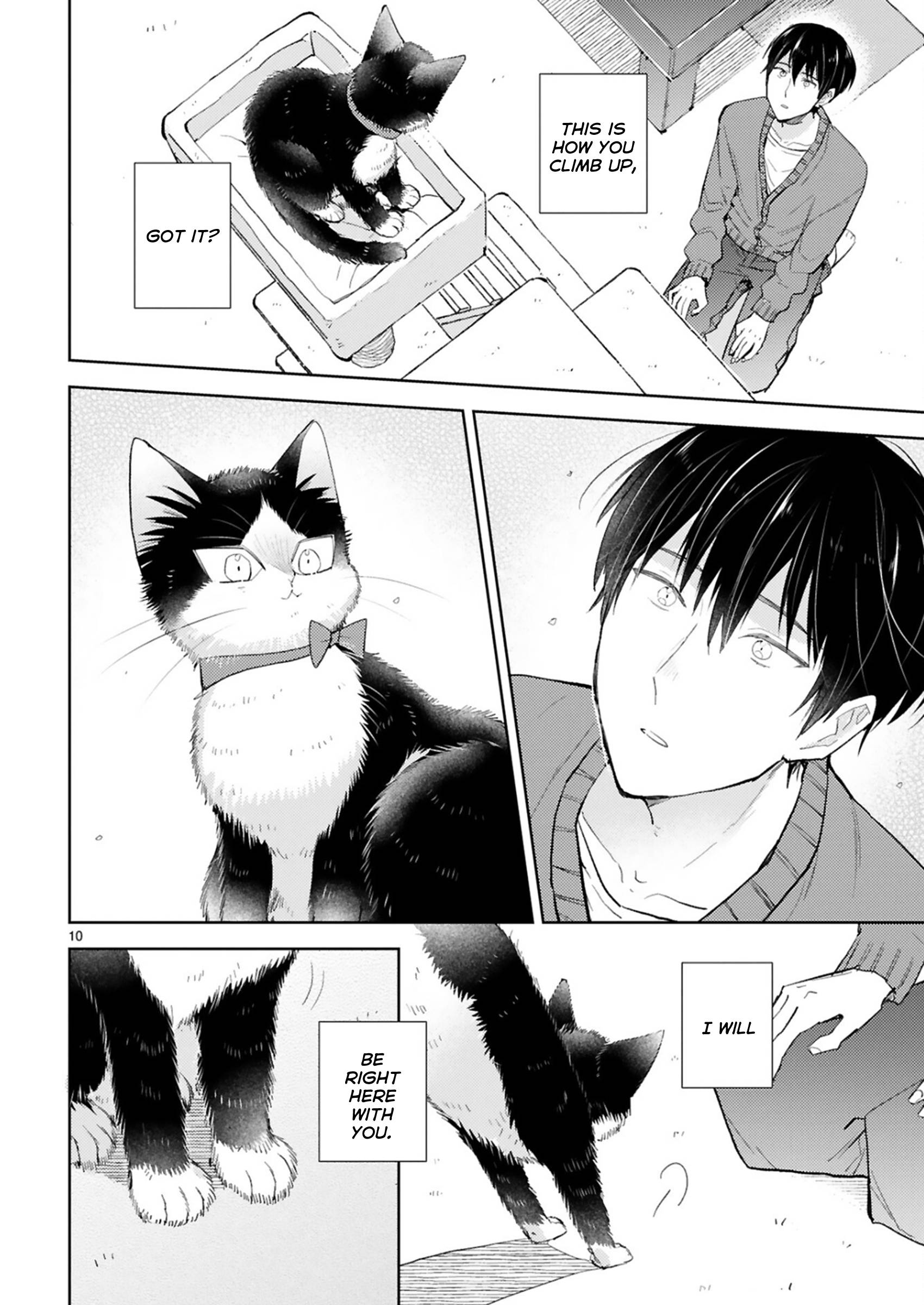 Page 10 of Chapter 24.2