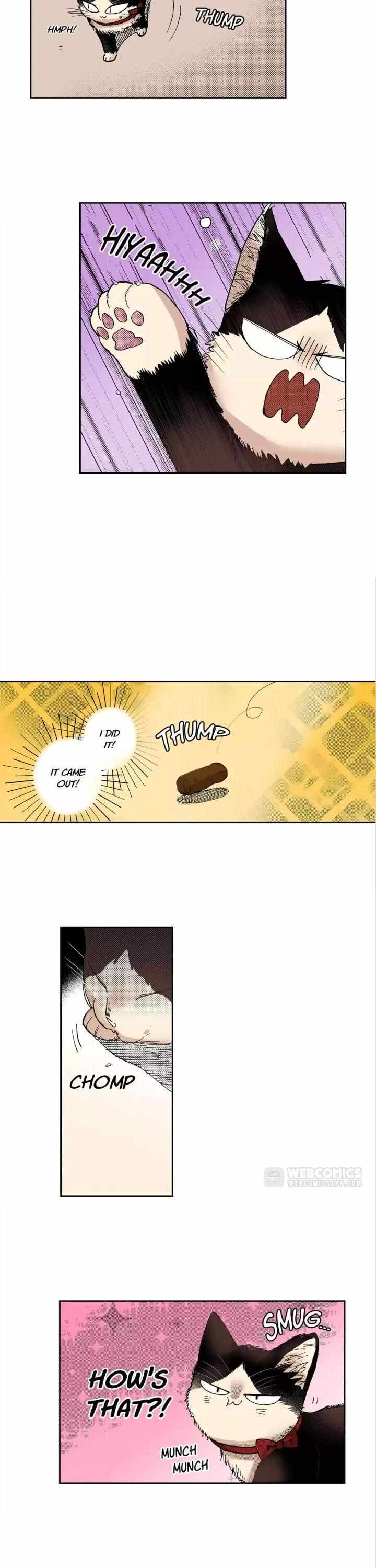 Page 5 of Chapter 25