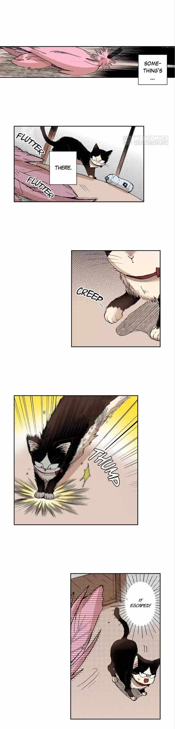 Page 7 of Chapter 25