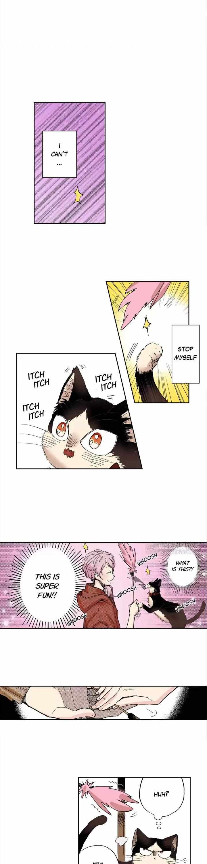 Page 8 of Chapter 25