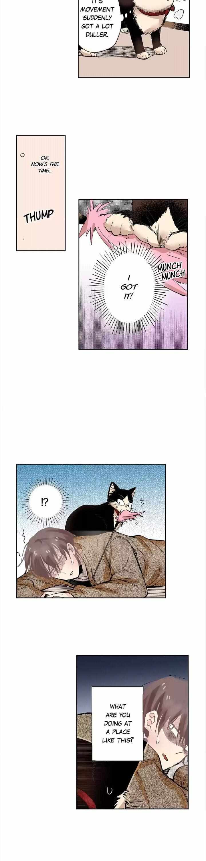 Page 9 of Chapter 25