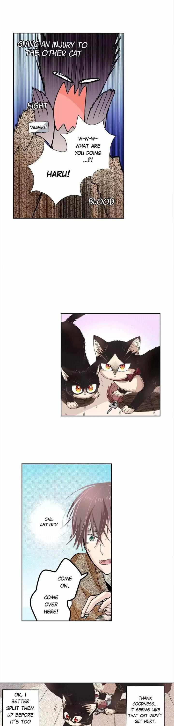 Page 4 of Chapter 27