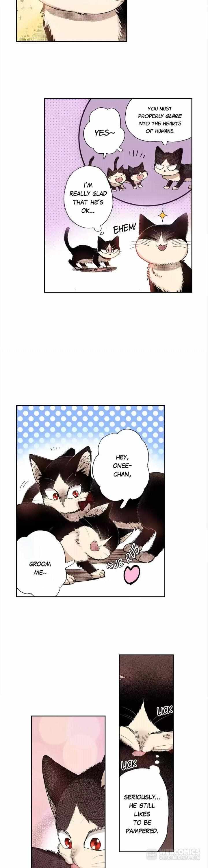 Page 8 of Chapter 28