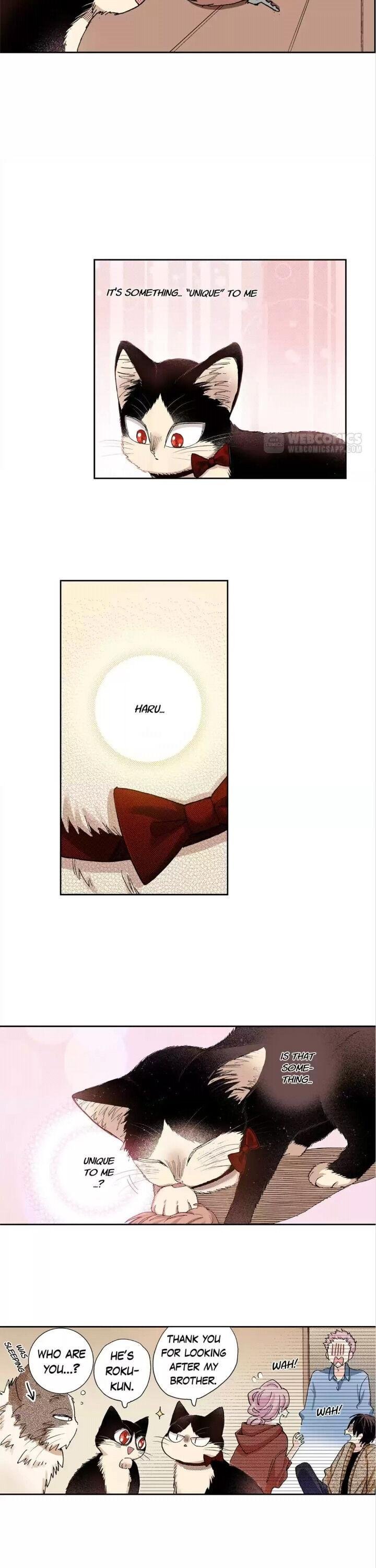 Page 19 of Chapter 28