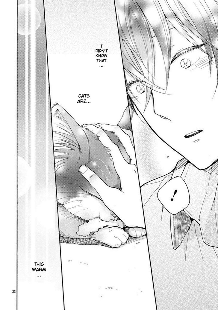 Page 23 of Chapter 3