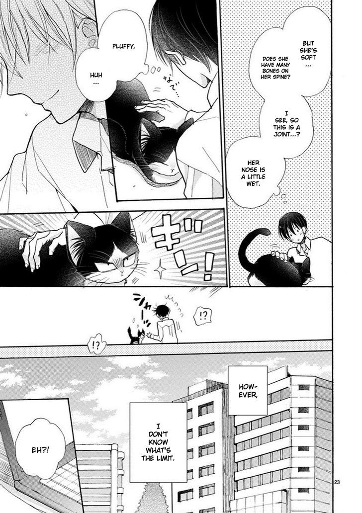 Page 24 of Chapter 3