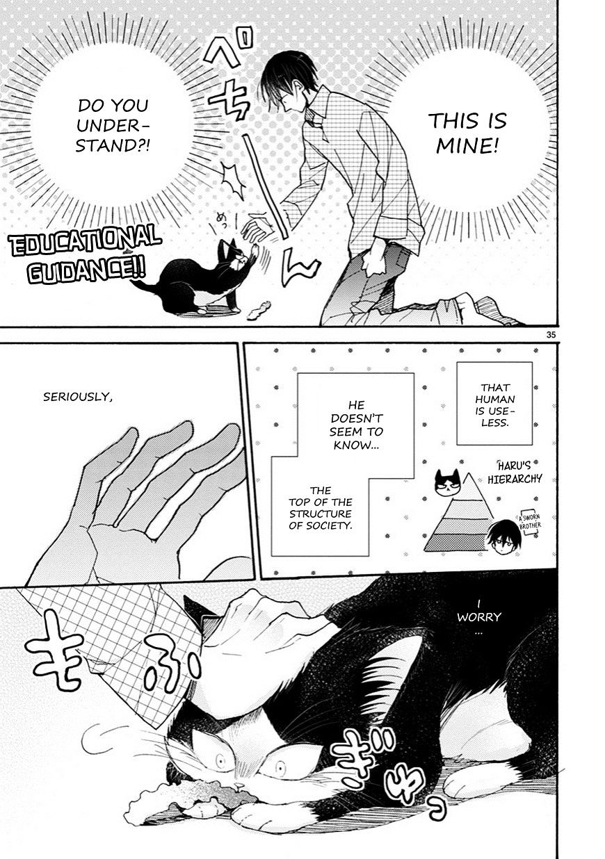 Page 10 of Chapter 3.5