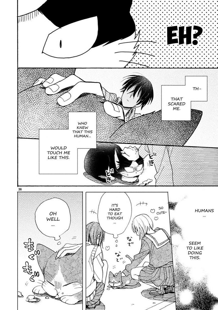 Page 11 of Chapter 3.5