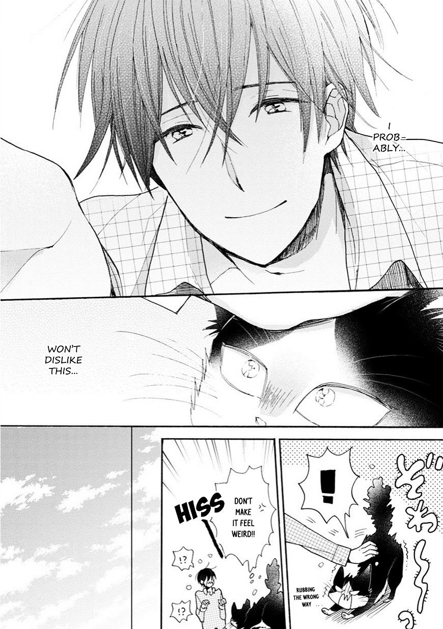Page 13 of Chapter 3.5