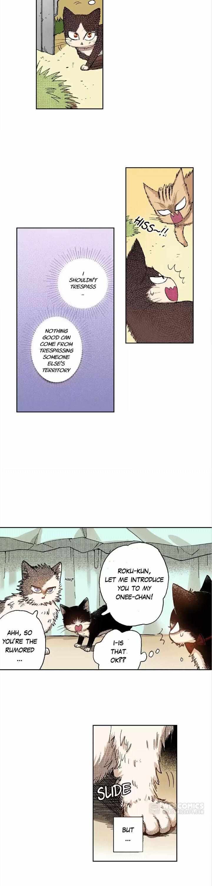 Page 2 of Chapter 31