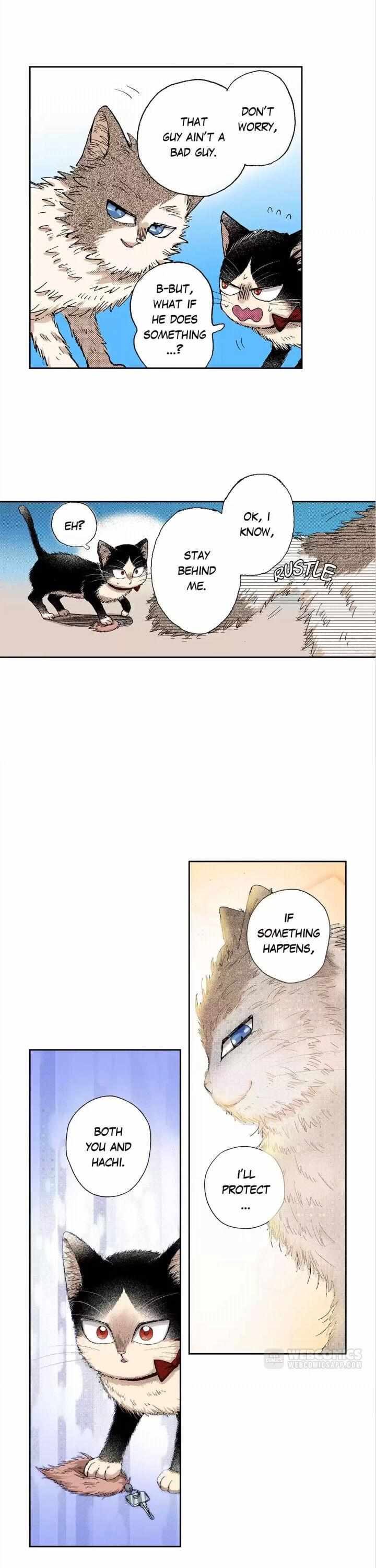 Page 5 of Chapter 31