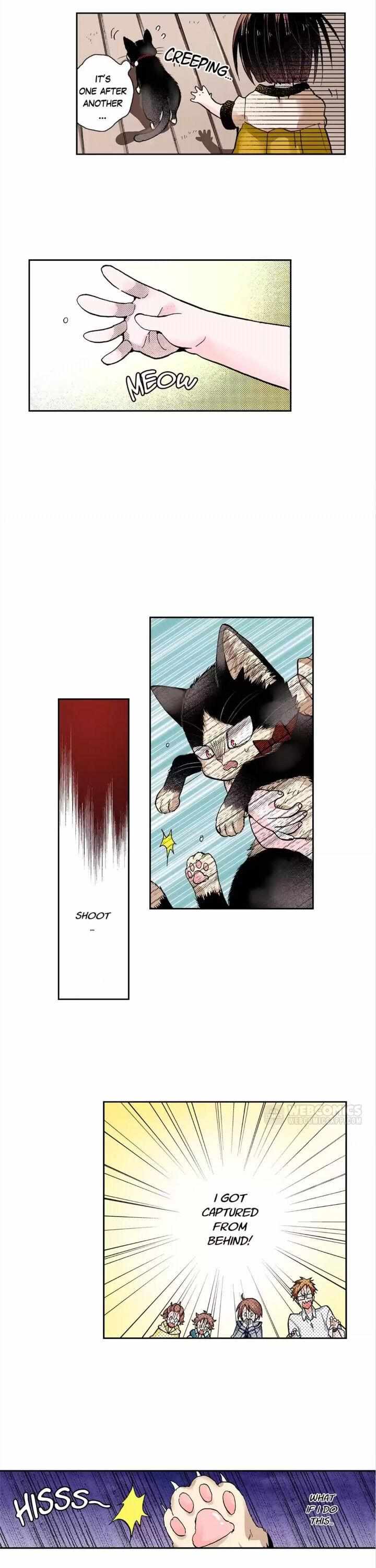 Page 7 of Chapter 34