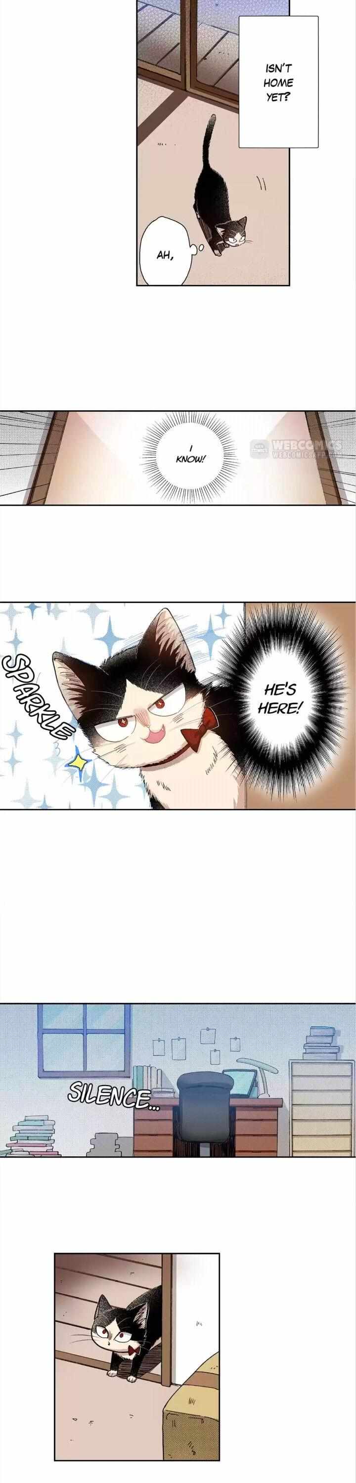 Page 11 of Chapter 35